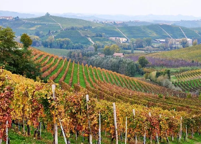 Ca' Fola Alba (Piedmont)
